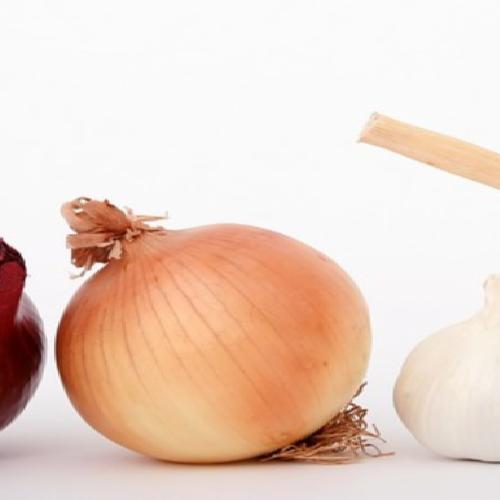 viande-098-hamburger-16x9L